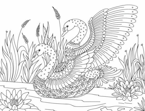 Раскраска антистресс лебедь