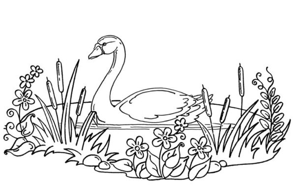 Озеро с лебедями раскраска для детей