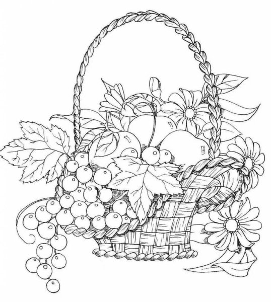 Корзина раскраска