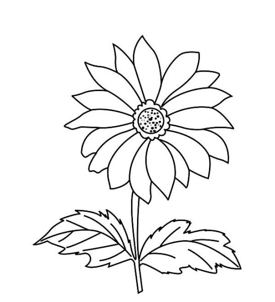 Раскраска цветы георгины