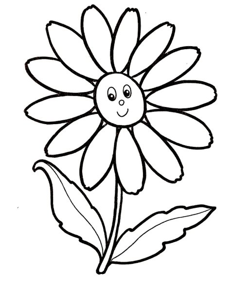 Ромашка раскраска для детей