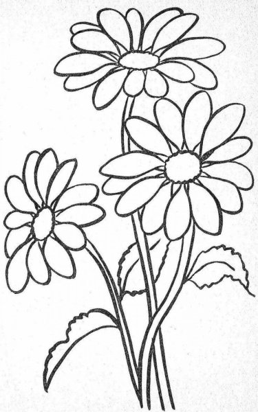 Трафареты цветов для рисования