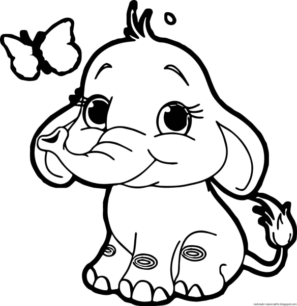 Раскраски. Животные