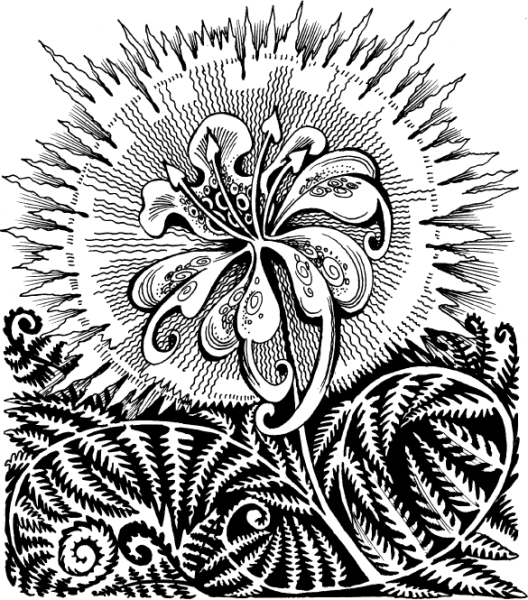 Стилизация растений папоротник