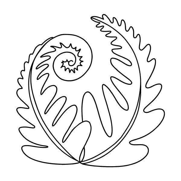 Папоротник раскраска для детей