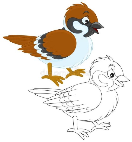 Воробей раскраска с образцом