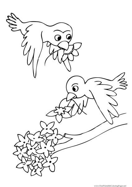 Раскраска мышь и Воробей