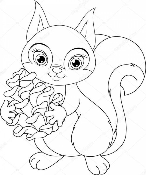 Милые белочки раскраски