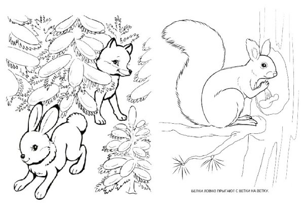 Картинки раскраски по лексическим темам