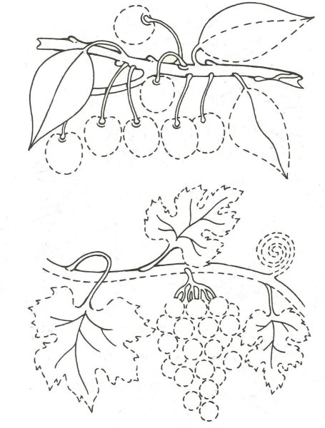 Задания по теме ягоды