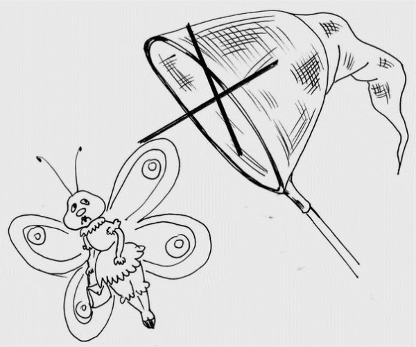 Ловля бабочек раскраска