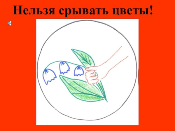 Знак нельзя рвать растения