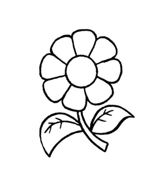 Цветок для пластилинографии