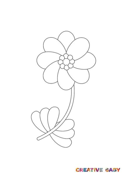 Цветок для платилbyjuhfabb