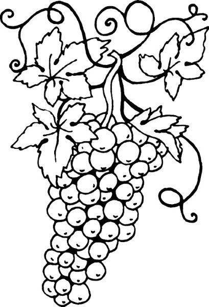 Виноград раскраска