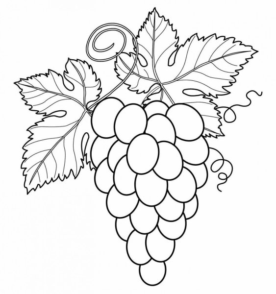 Раскраска "ягоды"