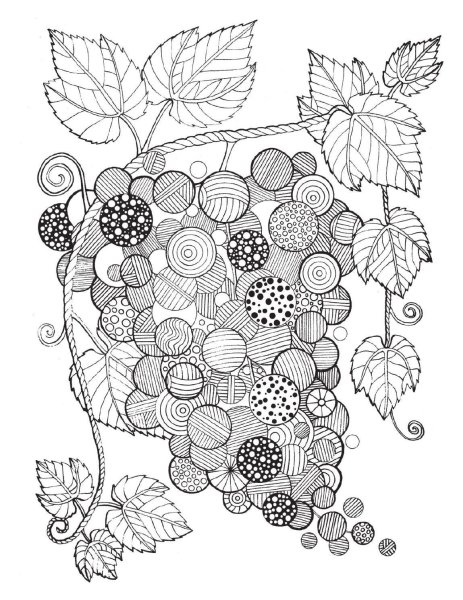 Раскраска антистресс ягоды