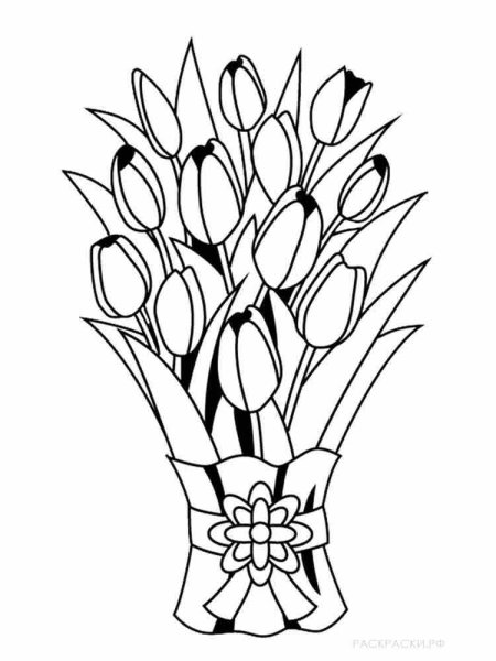 Тюльпан раскраска