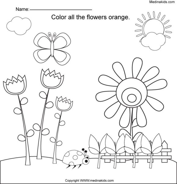 Цветы задания для дошкольников