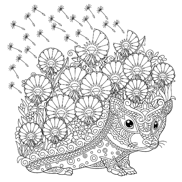 Мандалы Ежик раскраски