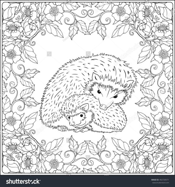 Раскраска антистресс Ежик