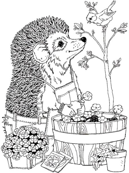 Раскраска антистресс Ежик