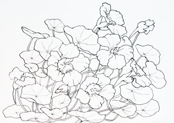 Батик шаблоны цветов