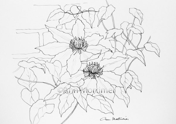 Цветочные эскизы для росписи по ткани