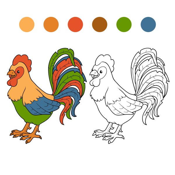 Раскраска петуха для детей в цвете