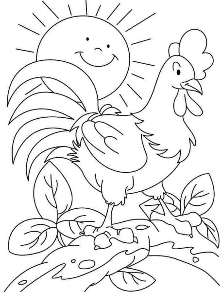 Раскраски к сказке петушок и бобовое зернышко для детей