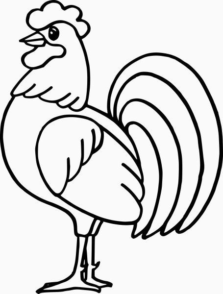 Петушок раскраска для детей