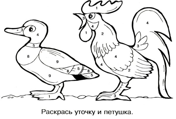 Раскраска домашние птицы для детей 6-7 лет