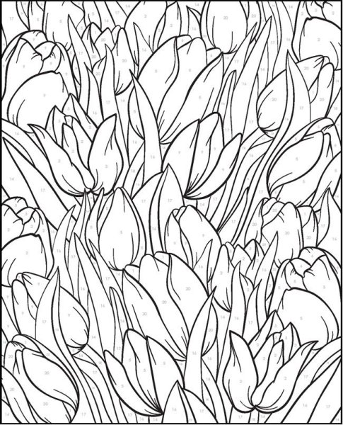Раскраска тюльпаны для взрослых