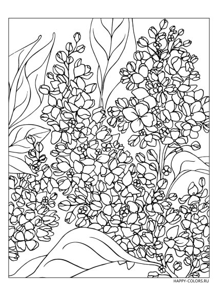 Раскраска. Цветочная фантазия