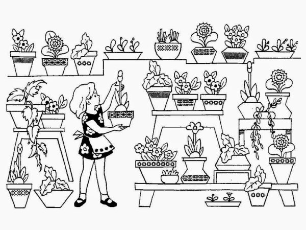 Комнатные растения раскраска