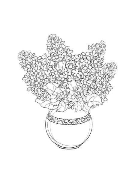 Букет сирени раскраска