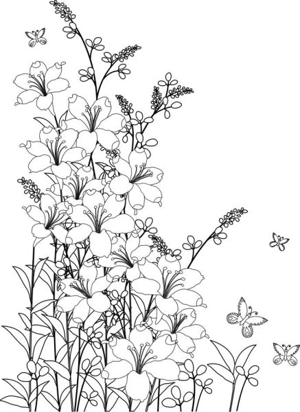 Контур цветов