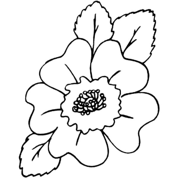 Мак раскраска для детей