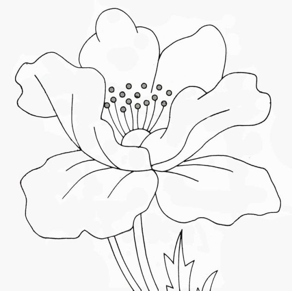 Мак трафарет