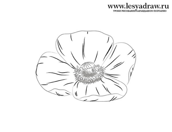 Как нарисовать Мак