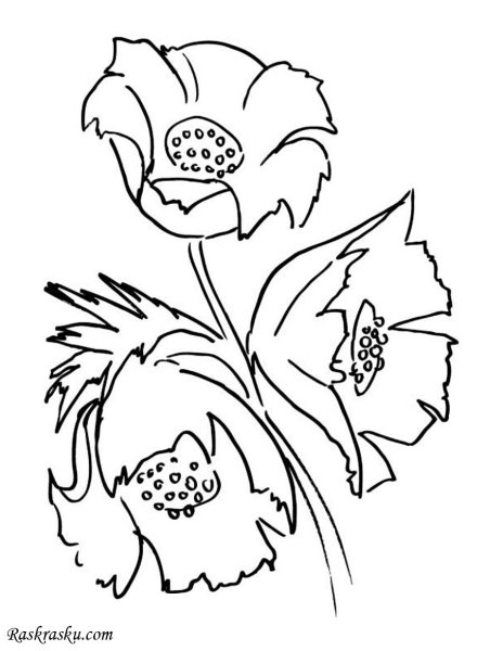 Маки трафареты для рисования