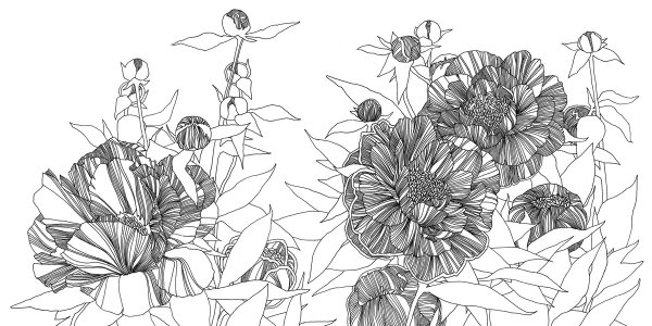 Фантазийные цветы Графика