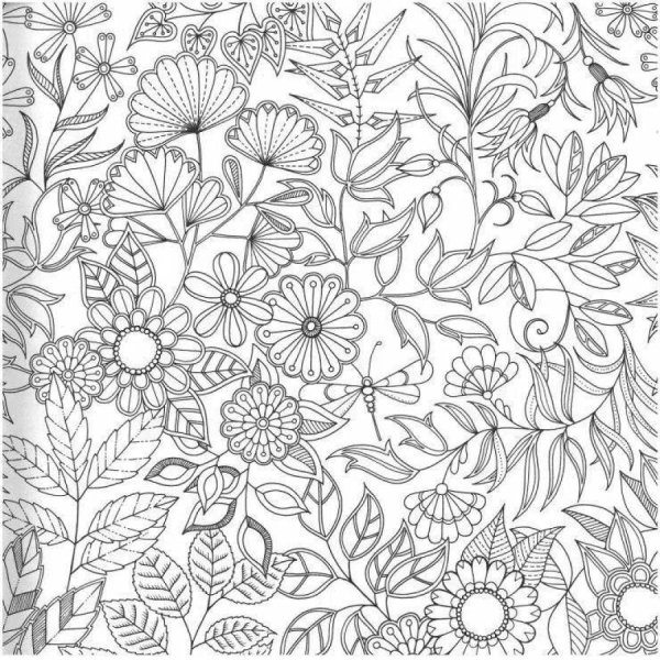 Джоанна Бэсфорд таинственный лес