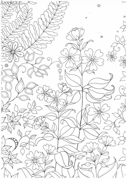 Раскраска антистресс Волшебный сад