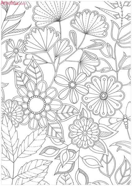 Раскраска антистресс Волшебный сад