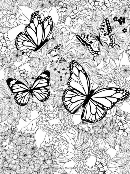 Раскраски антистресс бабочки