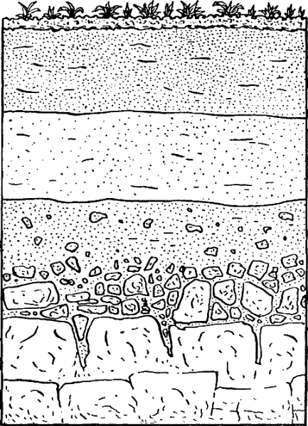 Почвенный разрез