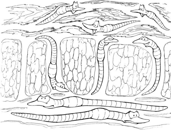 Почва раскраска для детей