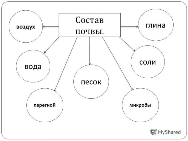 Состав почвы схема