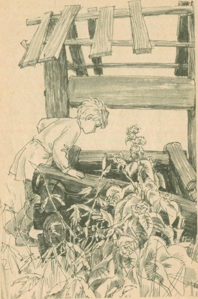 Иллюстрация к рассказу тема и жучка